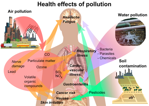 map of the body with Health effects of pollution