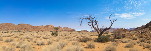 dry hot arizona desert